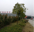 Nantong Reador Textile Co., Ltd.