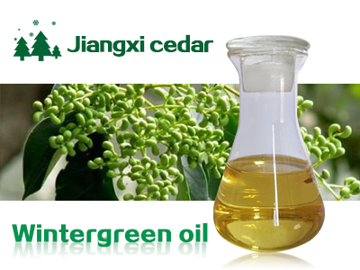 Wintergreen oil