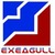 Hefei Exeagull Imp. & Exp Co., Ltd.