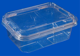 Food Tray