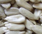 Confectioanry Sunflower Seeds Kernel-Confectionary grade