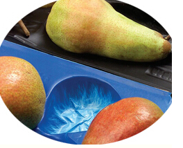 Pear Tray